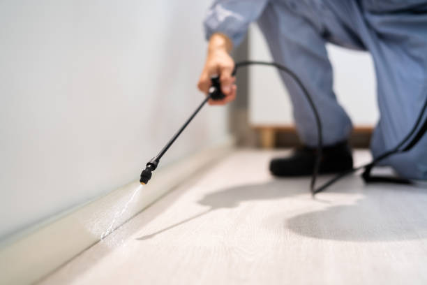 Licensed Cockroach Control service in Heritage Pines, FL - Nex Pest Control