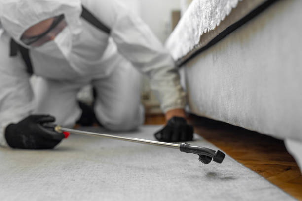 Professional Cockroach Control technician working in Heritage Pines, FL