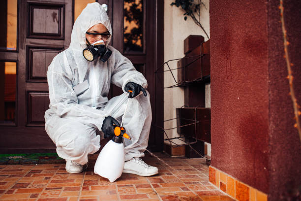 Reliable Cockroach Control contractor in Heritage Pines, FL by Nex Pest Control