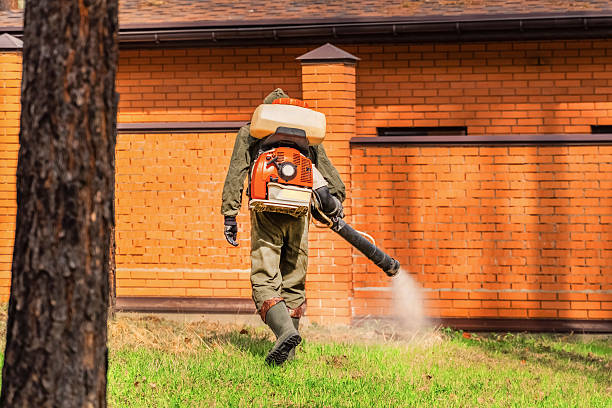 Trusted Cockroach Control service in Heritage Pines, FL - Nex Pest Control